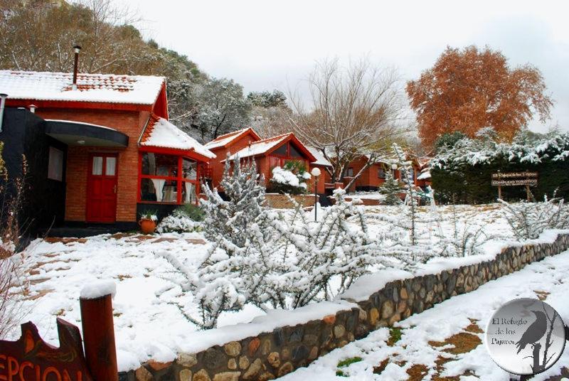 Cabanas El Refugio De Los Pajaros Merlo Exterior foto